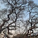 본오로1길 이미지