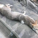 와가 이미지