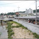 금산시장 이미지