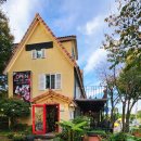 알로하오에 | 서울 근교 데이트 코스 양수리 두물 머리 맛집 알로하오에 후기