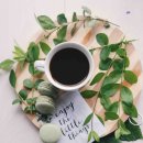 식물원 옆 동물원 이미지