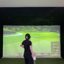 [골프⛳] 천안 청당동 '프렌즈스크린 트윈브릿지' 방문 후기 (요금/코스추천)
