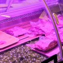 대곡축산 이미지