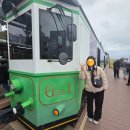 첫 나들이 어린이 한국사 | [부산] 해운대 해변열차(블루라인파크), 집돌이 녀석들과 해운대 나들이