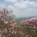 화학산등산로 이미지