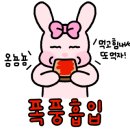 샤브야월남쌈구이&샤브
