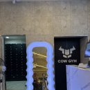 헬스카우 | 백운역 카우짐 PT 후기｜인천 부평 퍼스널트레이닝 추천