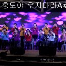 금호읍사무소 Daum카페