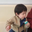 온리홍