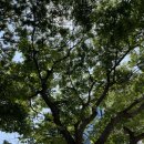 비에이치씨 남천점 이미지