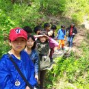 4월22일 옥룡초3학년 숲체험 이미지