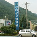 웃음건강체조 이미지