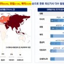 영웅누리태권도 | 도미니카공화국 한류 현황과 소비자 분석