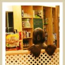 몽스토리 이미지