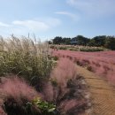 노을정원 이미지