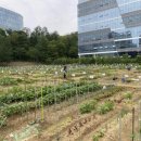 행복을 farm 엔디엔뉴스