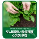 재생사 이미지