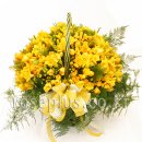 후리지아 이미지