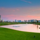 베스트 스크린 골프장 이미지