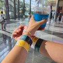 랍비즈코리아 | 뜨개인의 2025 핸드아티코리아 코엑스 방문후기