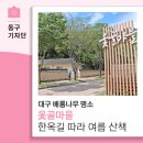 명품옻골1616협동조합 | 대구 배롱나무 명소, 옻골마을 한옥길 따라 여름 산책 떠나요 - 14기 박선주 기자