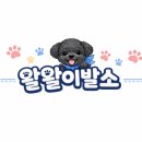 왈왈이발소 이미지