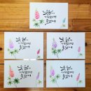 플러스펜 수채화 캘리그라피 | 루피너스꽃그림 플러스펜 수채화 캘리그라피