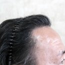 올백
