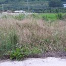 비안농장 이미지