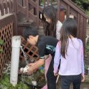 갯벌부흥펜션 이미지