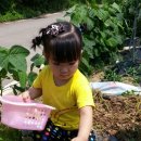 광탄농장 이미지