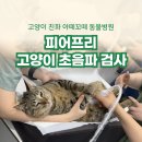 아떼꼬떼 동물병원 이미지