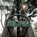 무이예술관 이미지