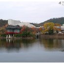 두류공원 이미지