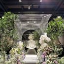 다이너스티 웨딩뷔페 | The Shilla Seoul Dynasty Hall Wedding 신라호텔 다이너스티 홀 웨딩 하객 후기