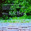 모헌