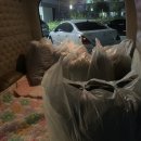 런드리샤워 이미지