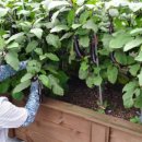 만복경로당 이미지