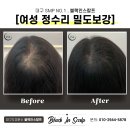 블랙인스칼프 이미지