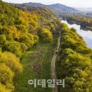 하천(갑천5) 이미지