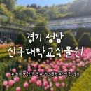 [경기 성남 명소] 이곳은 튤립이 만개!! <신구대학교식물원>