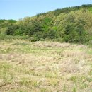 내칠2리 이미지