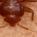 미라클 호스텔 이미지