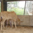 선경축산 이미지