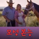 이미지다큐 | 넷플릭스 모성 본능 결말 포함 줄거리 범죄 실화 다큐 영화 후기