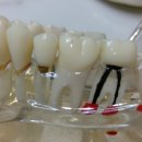 김유진치과의원 이미지