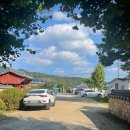 다미숲식당 이미지