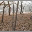 (주)산채원