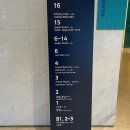 돌담펫호텔 | [강릉 여행 10만원 대 숙소 추천] 세인트존스호텔 내돈내산 후기 | 부대시설, 객실, 체크인 총정리