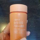 르네셀비앙 이미지
